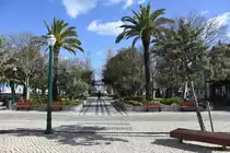 TAVIRA (Concelho de Tavira), 02.02.2019, auf der Pra�a da Rep�blica mit Blick auf den Jardim P�blico