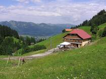 Untere Richtersalpe oberhalb von Reichenbach (Landkreis Oberallgu - Juli 2005)