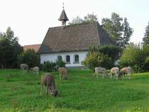Kapelle in Schweineberg (Ofterschwang, Landkreis Oberallgu - Juli 2005)