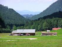 Alpe Oberau hinter Spielmannsau im Trettachtal hinter Oberstdorf (Landkreis Oberallgu - August 2005)