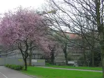 Der Rohbau des Neuen Rathauses am Willy-Brandt-Platz in Gladbeck kurz vor der Vollendung - das Dach wird eingedeckt (Kreis Recklinghausen, NRW - April 2006)