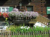 Detailaufnahme eines alten Bauernhauses in Blachach-Gunzesried (Kreis Oberallgu - Juli 2006)