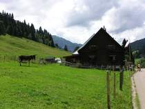 Alpe Schattwald bei Rohrmoos (Ortsteil von Oberstdorf, Kreis Oberallgu - August 2006)