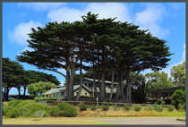 Hlzerne Wohnhuser in Flinders, Victoria. (31.12.2019) 