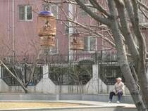 In Peking hatte ich mir ein Fahrrad (Neupreis ca. 20, Qualitt sehr gering) gekauft und war ein wenig durch die Gegend gefahren. Eigentlich wollte ich auch Eisenbahnfotos schieen, aber auf die Bahnhfe kommt man nicht ohne weiteres, und die Strecken durch die Stadt schienen ungeeignet. Dann fand ich aber einen Park, in dem Vogelkfige mit Singvgeln aufgehangen waren. Es war ein toller Sound, viele Menschen lauschten ihm. April 2006