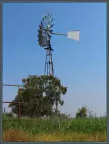 Eine der in Australien weit verbreiteten Western-Windm�hlen am Murray River bei Wellington.