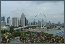 Am Riesenrad  Singapore Flyer  strmt der Singapore River in die Marina Bay. Links befindet sich der Stadtteil Downtown Core als wirtschaftlich bedeutendes Zentrum Singapurs. Im Vordergrund sind die Gardens of the Bay zu sehen. (Singapur, 11.01.2020)