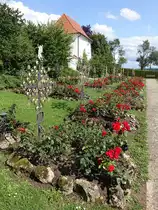 Rosenfriedhof in Dietkirchen, ein Friedhof, der bei neuen Gr�bern seit 1933 nur handgeschmiedete Kreuze und keine Grabsteine sowie als einheitliche Bepflanzung rote Rosen aufweist (20.08.2017)