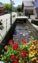 Diersburg,der Riedbach durchflie�t den Ort entlang der Talstra�e, Juni 2020