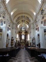 Stara Boleslav / Altbunzlau, barocker Innenraum der Maria Himmelfahrt Kirche (28.06.2020)