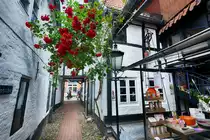 Krusehof in der Roten Stra�e, Flensburg. Im Krusehof begann der Aufstieg der �ltesten Stra�e Flensburgs zur Sehensw�rdigkeit. Der Glask�nstler G�nter Kruse machte den Hof zum Schmuckst�ck. Aufnahme: 11. Juli 2020.