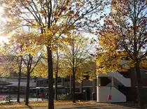 Hamburg am 24.10.2020: Herbstimpressionen am U-+Bus-Bahnhof Steinfurther Allee /