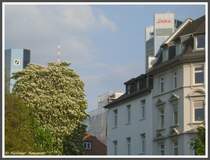 Frankfurt am Main Stadtteil Westend Kettenhofweg Ecke Barckhausstrae, die Bankentrme ragen ber die Dcher der Wohnhuser, aus dem Baum  wchst  der Antennenmast des Commerzbank-Towers, des mit einer strukturellen Hhe von 259 Metern (mit Antenne 300 Meter) zweithchsten Gebudes Europas (Aufnahme vom 06.05.2008).
