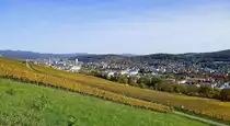 L�rrach, Blick vom T�llinger Berg �ber die Weinfelder auf die Stadt, im Hintergrund die Ausl�ufer des S�dschwarzwaldes, Okt.2020