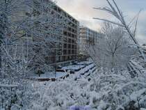 Br�ssel - Herrental - 25. M�rz 2008