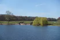 Hamburg am 30.3.2021: Fr�hlingsimpression am Stadtparksee im Stadtteil Winterhude /