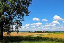 Ortschaft Laubbach bei Ostrach Baden-Wrttemberg.  Sommertag  
Aufgenommen mit Canon EOS 600