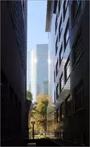 In den Hochhausschluchten - 

... von Frankfurt. Durchblick von der neuen Mainzer Landstra�e zur Gallusanlage und dem Wolkenkratzer Skyper.

10.10.2018 (M)