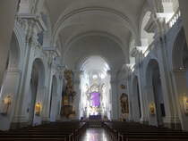 Wrzburg, barocker Innenraum der St. Peter und Paul Kirche (21.02.2021)
