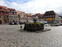 Bernstadt a. d. Eigen, Brunnen und Huser am Markt (17.09.2021)
