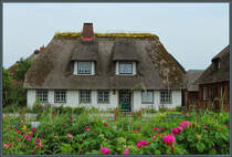 Wohnhaus mit Reetdach auf der Hallig Oland. (29.06.2021)
