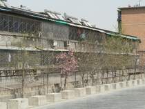 Wohnhaus an der Stadtmauer. Die ersten drei Etagen von Wohnhusern sind meist vergittert, es scheint ein groes Einbrecher-Problem zu bestehen. April 2006