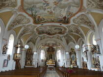 Saaldorf, neubarocker Innenraum der Pfarrkirche St. Martin (15.02.2016)