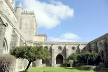 �VORA (Concelho de �vora), 10.02.2020, im Innenhof der Kathedrale