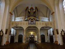 Salmnster, Orgelempore in der St. Peter und Paul Kirche (30.10.2021)