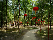 Im Łazienki-Park weisen rote Lampions den Weg in den Chinesischen Garten. (Warschau, August 2015)