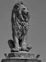 Der Bayerische L�we von Lindau. (Juli 2017)