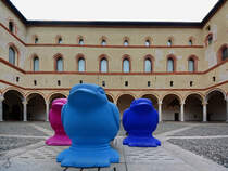 Ein buntes Vogeltrio im Innenhof des mittelalterlichen Castello Sforzesco. (Mailand, Juni 2014)