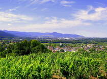 Denzlingen, Blick vom Mauracher Berg ber die Stadt, dahinter liegt Freiburg mit dem 644m hohen Schnberg in der Bildmitte, Juli 2022