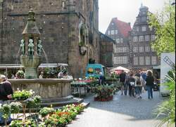 Der Blumenmarkt am Unser-Lieben-Frauen-Kirchhof