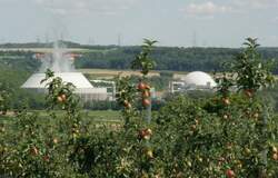 Nuklearäpfel bei Neckarwestheim; Juli 2010