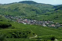 Oberbergen im Kaiserstuhl, der etwa 1000 Einwohner zählende bekannte Winzerort wurde 972 urkundlich das 1.Mal erwähnt, Juli 2011