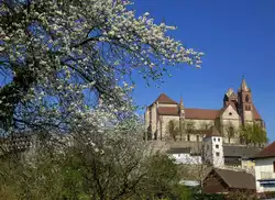 Breisach, Blick vom Rheinufer zum Münster auf dem Burgberg, März 2014