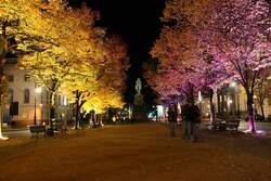 Unter den Linden in Berlin: Die Strasse (bzw die Bäume) wurden zum Festival of Lights 2007 schön angeleuchtet.