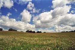Endlose Felder und tiefe wei�e Wolken am blauen Sommerhimmel sind ein Sinnbild f�r die uckerm�rkische Landschaft.