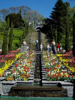 Insel Mainau, die Blumentreppe, April 2007