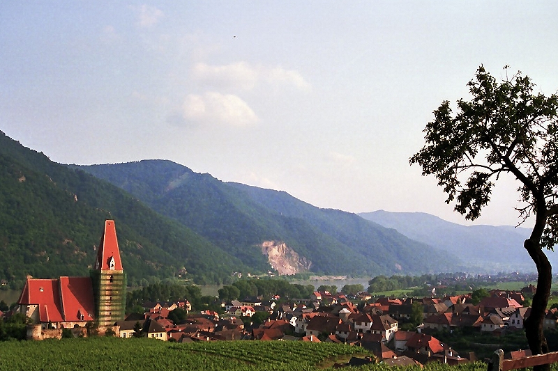 Weienkirchen in der Wachau (Juni 1989)