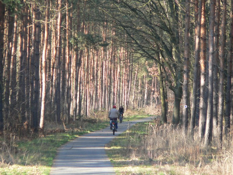 Weiter auf der Strecke Erkner - Frstenwalde. In Hangelsberg wechseln wir die Seite der Bahn und folgen der groen Landstrae (Berliner Damm, mit Radweg). Tipp: Im Ortskern nach rechts der Strae  Am Spreeufer  auf ihrer gesamten Lnge folgen. Da gibt es auch eine kleine rustikale Gaststtte, die zudem Eis, Kaffee und Kuchen serviert. Irgendwann sind wir wieder auf der Landstrae, deren Radweg dann bald in den Wald hineinfhrt. Bis Frstenwalde geht es dann etwa 7 km auf einer malerischen, wie im Bild gezeigten und durchgehend asphaltierten Strecke bis nach Frstenwalde. So wnscht man sich berregionale Radwege, dann klappts auch mit dem CO2 :-) 18.2.2007