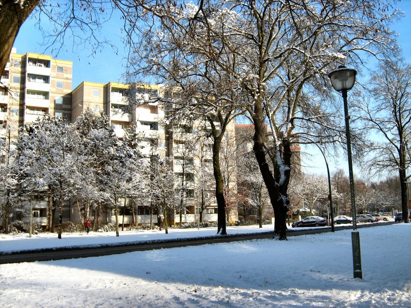 Winter 2009 in Berlin: Spandau im Januar