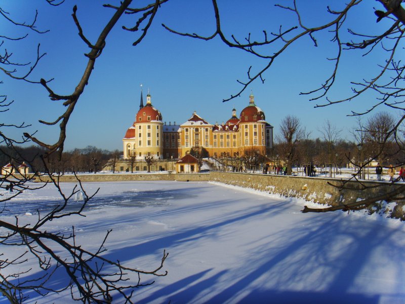 Winter in Moritzburg, aufgenommen am 10.01.2009.