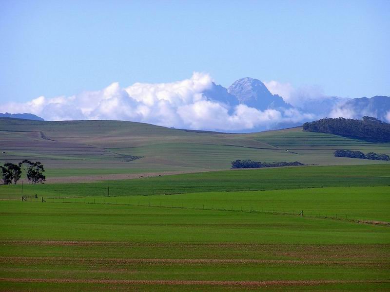  Winterlandschaft  nur 50 Kilometer von Kapstadt entfert. Aufgenommen im Juni  