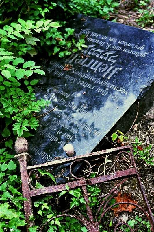 Zentralfriedhof. Auf dem jdischen Friedhof (September 1991).