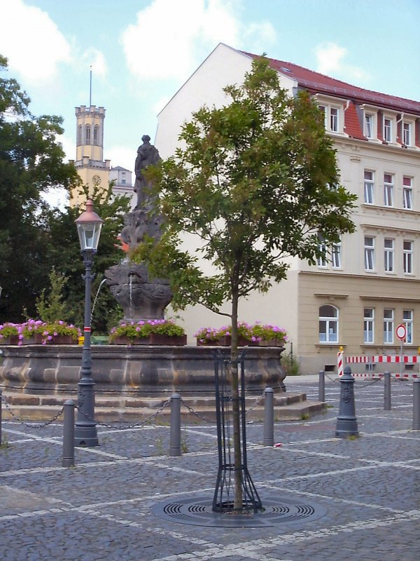 Zittau mit seinen vielen Brunnen - Sommer 2004