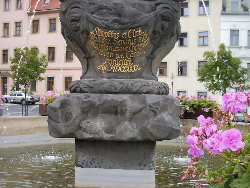 Zittau, einer der vielen brunen - 2005